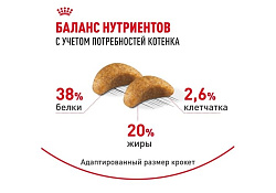 Royal Canin Breed cat Kitten British Shorthair Сухой корм Роял Канин для Котят породы Британская короткошерстная в возрасте от 4 до 12 месяцев 2 кг