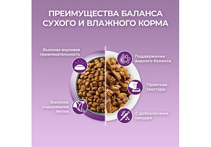 PURINA ONE Влажный корм Паучи Пурина УАН для кошек особенно привередливых к вкусу индейка утка с морковью (цена за упаковку) 75г х 26шт