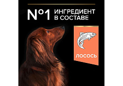 PRO PLAN OPTI DERMA Сухой корм ПРО ПЛАН для взрослых собак мелких пород при чувствительной коже с лососем 700 г PRO PLAN OPTI DERMA Сухой корм ПРО ПЛАН для взрослых собак мелких пород при чувствительной коже с лососем 700 г