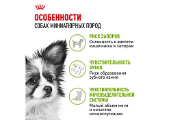 Royal Canin X-Small Adult Сухой корм Роял Канин Икс-Смолл Эдалт для Взрослых собак мелких пород 500 г Royal Canin X-Small Adult Сухой корм Роял Канин Икс-Смолл Эдалт для Взрослых собак мелких пород 500 г