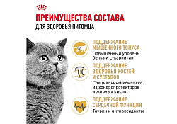 Royal Canin Breed cat British Shorthair Сухой корм Роял Канин для Взрослых кошек породы Британская короткошерстная 2 кг