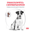 Сухой корм Royal Canin GASTROINTESTINAL LOW FAT SMALL DOGS (ГАСТРОИНТЕСТИНАЛ ЛОУ ФЭТ СМОЛ ДОГЗ) 3 кг