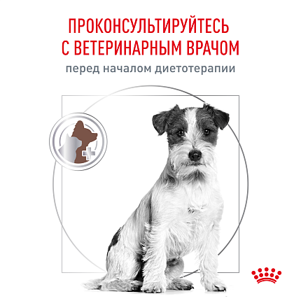 Сухой корм Royal Canin GASTROINTESTINAL LOW FAT SMALL DOGS (ГАСТРОИНТЕСТИНАЛ ЛОУ ФЭТ СМОЛ ДОГЗ) 3 кг