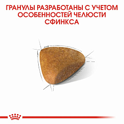 Сухой корм Royal Canin Sphynx Adult для взрослых кошек породы Сфинкс, 400 гр