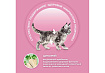 PURINA ONE KITTEN Сухой корм Пурина УАН для котят с курицей 750 г