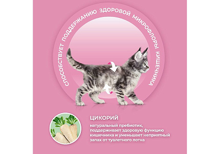 PURINA ONE KITTEN Сухой корм Пурина УАН для котят с курицей 750 г