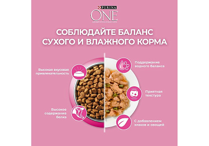 PURINA ONE KITTEN Сухой корм Пурина УАН для котят с курицей 750 г