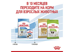 Royal Canin X-Small Puppy Сухой корм Роял Канин Икс-Смолл Паппи для Щенков мелких пород 500 г