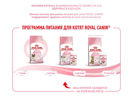 Royal Canin Kitten Корм сухой сбалансированный для котят в период второй фазы роста до 12 месяцев, 10 кг