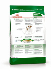 Cухой корм Royal Canin Mini Adult (МИНИ ЭДАЛТ) 2 кг