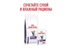 Royal Canin Neutered Balance Ветеринарный влажный корм (Консервы-Паучи) Роял Канин Ньютеред Баланс для Кастрированных котов и Стерилизованных кошек Склонных к полноте (цена за упаковку) 85г х 28шт