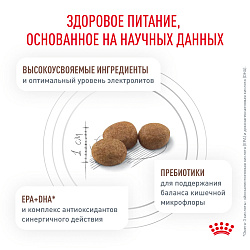 Royal Canin Gastrointestinal Moderate Calorie Корм сухой полнорационный диетический для взрослых кошек, склонных к набору веса, при расстройствах пищеварения. Ветеринарная диета. 2 кг.