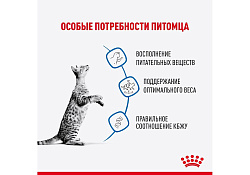 Royal Canin Indoor Влажный корм (Консервы-Паучи) Роял Канин Индор для Стерилизованных кошек Живущих в помещении в Соусе (цена за упаковку) 85г х 28шт
