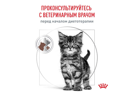 Royal Canin Kitten Gastrointestinal Ветеринарный сухой корм Роял Канин Гастроинтестинал для Котят от 2 до 10 месяцев при Нарушениях пищеварения 2 кг
