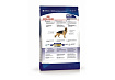 Royal Canin Maxi Adult Сухой корм Роял Канин Макси Эдалт для Взрослых собак Крупных пород в возрасте от 15 месяцев до 5 лет 15 кг