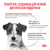 Сухой корм Royal Canin GASTROINTESTINAL LOW FAT SMALL DOGS (ГАСТРОИНТЕСТИНАЛ ЛОУ ФЭТ СМОЛ ДОГЗ) 3 кг