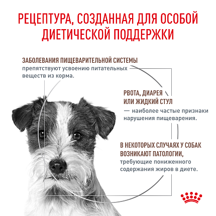 Сухой корм Royal Canin GASTROINTESTINAL LOW FAT SMALL DOGS (ГАСТРОИНТЕСТИНАЛ ЛОУ ФЭТ СМОЛ ДОГЗ) 3 кг
