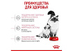 Royal Canin Mother & Babycat Сухой корм Роял Канин Бэйбикэт для Котят в возрасте от 1 до 4 месяцев 4 кг