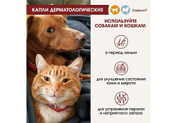 CitoDerm Капли Цитодерм Дерматологические для кошек и собак весом до 10 кг 1 х 4 шт