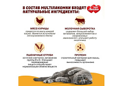 Multi Лакомки Витаминное лакомство Мульти Лакомки для кошек Активный питомец 70 таб