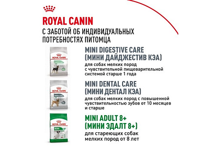 Royal Canin Mini Adult 8+ Сухой корм Роял Канин Мини для Пожилых собак Мелких пород старше 8 лет 4 кг