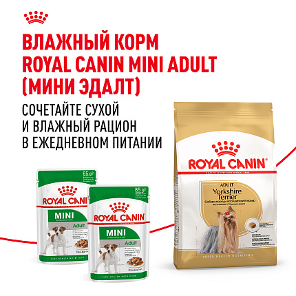 Royal Canin Yorkshire Terrier Adult Корм сухой для взрослых собак породы Йоркширский Терьер от 10 месяцев, 3 кг