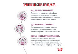 Royal Canin Renal RF23 Ветеринарный сухой корм Роял Канин Ренал для кошек Заболевание почек (хроническая почечная недостаточность) 4 кг