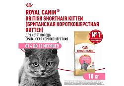 Royal Canin Breed cat Kitten British Shorthair Сухой корм Роял Канин для Котят породы Британская короткошерстная в возрасте от 4 до 12 месяцев 10 кг