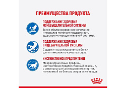 Royal Canin Indoor Влажный корм (Консервы-Паучи) Роял Канин Индор для Стерилизованных кошек Живущих в помещении в Соусе (цена за упаковку) 85г х 28шт