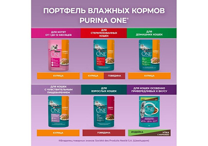 PURINA ONE Влажный корм Паучи Пурина УАН для кошек особенно привередливых к вкусу индейка утка с морковью (цена за упаковку) 75г х 26шт