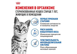 Royal Canin Indoor 7+ Влажный корм (Консервы-Паучи) Роял Канин Индор для Стерилизованных Пожилых кошек старше 7 лет Живущих в помещении в Желе (цена за упаковку) 85г х 28шт