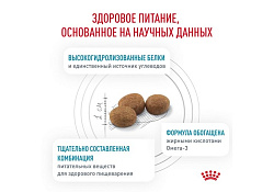 Royal Canin Hypoallergenic DR21 Ветеринарный сухой корм Роял Канин Гипоаллергенный для собак с Пищевой аллергей и непереносимостью 7 кг