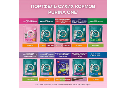 PURINA ONE KITTEN Сухой корм Пурина УАН для котят с курицей 750 г
