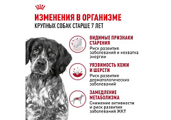 Royal Canin Medium Adult 7+ Сухой корм Роял Канин Медиум для Пожилых собак Средних пород старше 7 лет 4 кг
