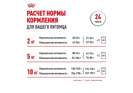 Royal Canin Mini Adult 8+ Сухой корм Роял Канин Мини для Пожилых собак Мелких пород старше 8 лет 4 кг