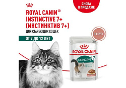 Royal Canin Instinctive 7+ Влажный корм (Консервы-Паучи) Роял Канин Инстинктив для Пожилых кошек старше 7 лет в Соусе (цена за упаковку) 85г х 28шт