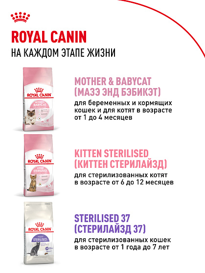 Royal Canin Kitten Корм сухой сбалансированный для котят в период второй фазы роста до 12 месяцев, 2 кг