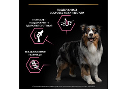 PRO PLAN OPTI DERMA Сухой корм ПРО ПЛАН для взрослых собак средних пород при чувствительной коже с лососем 14 кг PRO PLAN OPTI DERMA Сухой корм ПРО ПЛАН для взрослых собак средних пород при чувствительной коже с лососем 14 кг