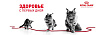 Royal Canin Kitten Sterilised Корм сухой сбалансированный для стерилизованных котят до 12 месяцев, 0,4 кг