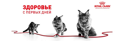 Royal Canin Kitten Sterilised Корм сухой сбалансированный для стерилизованных котят до 12 месяцев, 0,4 кг