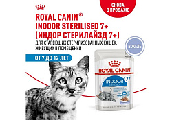 Royal Canin Indoor 7+ Влажный корм (Консервы-Паучи) Роял Канин Индор для Стерилизованных Пожилых кошек старше 7 лет Живущих в помещении в Желе (цена за упаковку) 85г х 28шт