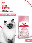 Royal Canin Kitten Корм сухой сбалансированный для котят в период второй фазы роста до 12 месяцев, 2 кг