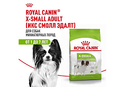 Royal Canin X-Small Adult Сухой корм Роял Канин Икс-Смолл Эдалт для Взрослых собак мелких пород 500 г Royal Canin X-Small Adult Сухой корм Роял Канин Икс-Смолл Эдалт для Взрослых собак мелких пород 500 г