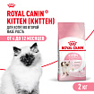 Royal Canin Kitten Корм сухой сбалансированный для котят в период второй фазы роста до 12 месяцев, 2 кг