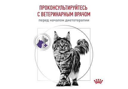 Royal Canin Neutered Satiety Balance Ветеринарный сухой корм Роял Канин Ньютеред Сетаети Бэланс для взрослых Кастрированных котов и Стерилизованных кошек с момента стерилизации и до 7 лет 8 кг