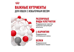 Royal Canin Light Weight Care Jelly Влажный корм (Консервы-Паучи) Роял Канин Лайт Вейт Кэа для кошек Профилактика лишнего веса в Желе (цена за упаковку) 85г х 28шт