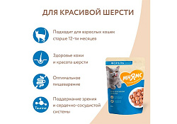 Мнямс Влажный корм Паучи для Красивой шерсти кошек Кусочки в соусе с Форелью (цена за упаковку) 85г х 24шт