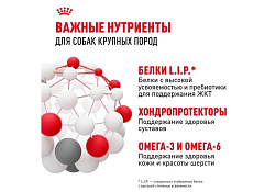 Royal Canin Maxi Adult Сухой корм Роял Канин Макси Эдалт для Взрослых собак Крупных пород в возрасте от 15 месяцев до 5 лет 15 кг Royal Canin Maxi Adult Сухой корм Роял Канин Макси Эдалт для Взрослых собак Крупных пород в возрасте от 15 месяцев до 5 лет 15 кг