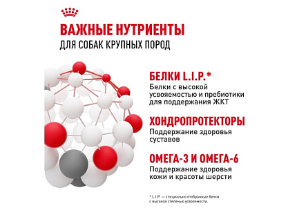 Royal Canin Maxi Adult Сухой корм Роял Канин Макси Эдалт для Взрослых собак Крупных пород в возрасте от 15 месяцев до 5 лет 15 кг