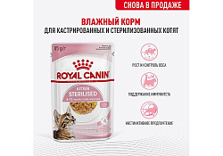 Royal Canin Kitten Sterilised Jelly Влажный корм (Консервы-Паучи) Роял Канин Киттен Стерилайзд для Стерилизованных Котят в возрасте от 6 до 12 месяцев в Желе (цена за упаковку) 85г х 28шт